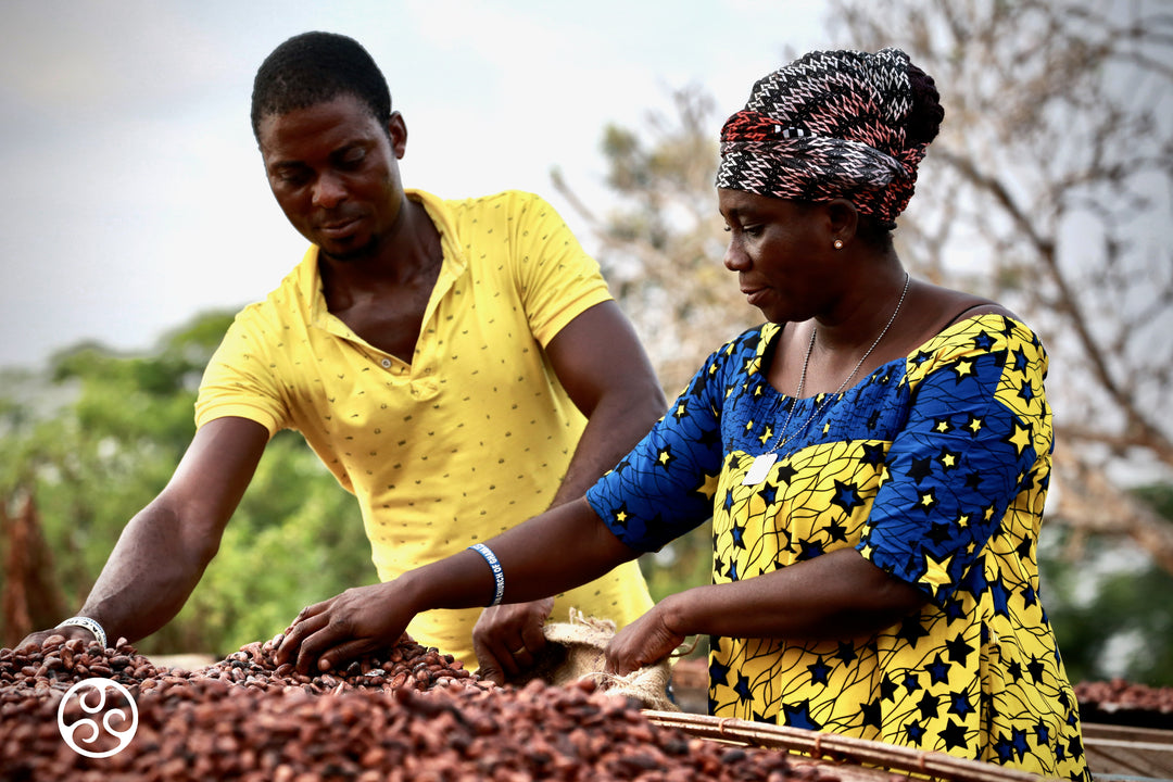 Women working the cocoa beans